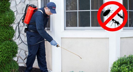 Oğuzeli Bit İlaçlama böcek ilaçlama ve haşere kontrolü — ilaclama-tr.com
